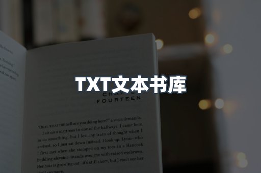 外文电子书系列